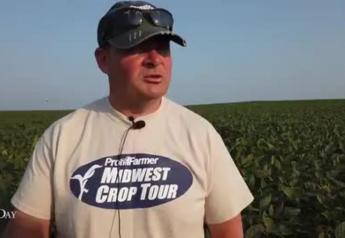 Crop Tour Scouts Find Eastern Iowa, Southern Minnesota in Dire Need of Rain to Salvage Yields