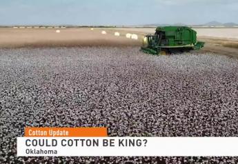 Cotton Prices Crashed, Now They’ve Climbed to Near Record-Highs at Harvest; Could it Become the 2022 Acre King?