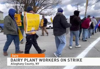 Dairy Report: Saputo Dairy Plant Workers on Strike