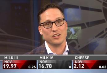 Dairy Report: Milk Hits $20 Mark, Farm Workforce Bill Applauded