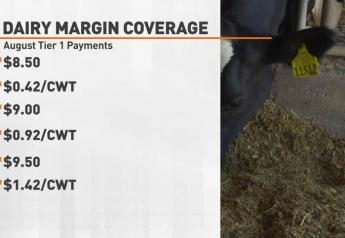 Dairy Report: August Dairy Margin Coverage Payments Triggered