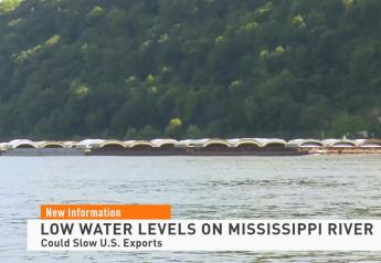 Low Mississippi Water Levels a Growing Concern for U.S. Exports and Basis Levels at and After Harvest  