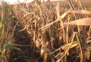 Nebraska Farmers Harvest Disappointing Crop in a Season Plagued by Drought