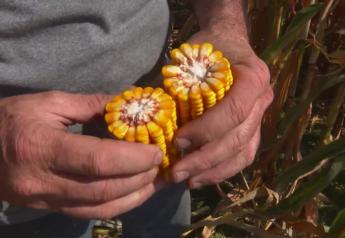 I-80 Harvest Tour:  Indiana Corn and Soybean Yield Averages Look Below 2021