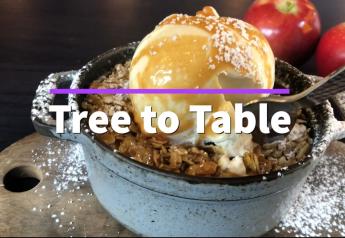 Tree to Table: Hudson River Fruit Distributors to Heritage Food + Drink