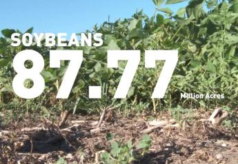 Allendale Survey Shows Increase in Corn and Soybean Acres for 2023 but Also Some Surprises
