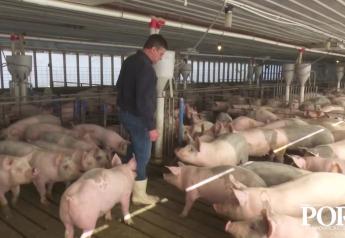 Why You Should Get Out and Attend Pork Industry Events