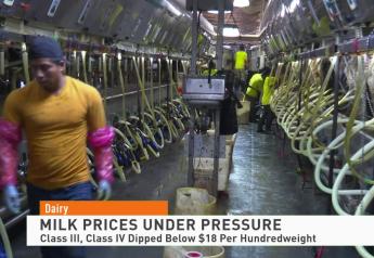 Dairy Report: Milk Prices Remain Under Pressure