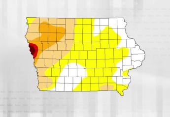 Iowa Planting Picks Up Steam:  Both Corn and Soybean Progress at Near Record Pace