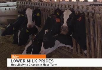 Expect Lower Milk Prices to Stick Around