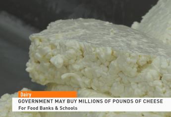 Dairy Demand Game Changer? U.S. Government Could Soon Buy 47 Million Pounds of Cheese