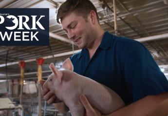Meet Two Pig Farmers Finding Unique Ways to Serve Up More Pork Demand