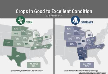 Illinois Crop Ratings Take Massive Drop: Farmers Say Disaster Brewing Without Rain Soon 