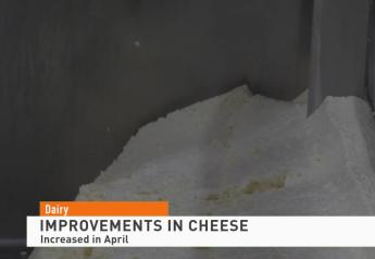 Cheese Inventory Sees Improvement, Cottage Cheese Making a Comeback