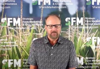 AgDay TV Markets Now: Dave Chatterton Says Grains See Report Positioning but With an Eye on Weather and War News