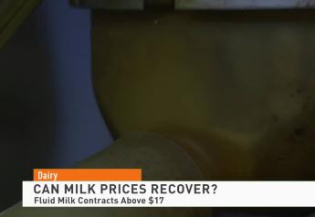 Dairy Report: Profit Margins Continue to Look Bleak