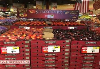 Tops launches ‘Summer Sell-a-bration’ display contest for produce