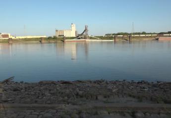 Low Mississippi River Levels Hit Soybean Exports, Freight Rates and Basis Levels: Corn Moving by Rail  
