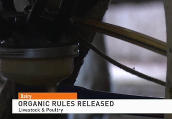 Dairy Report: New Organic Standards for Livestock Released