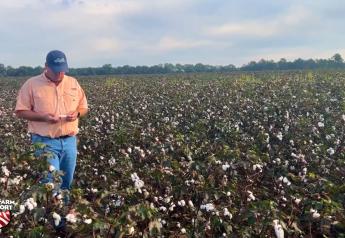 Southwest Georgia Weather Far From Ideal For Growing Cotton in 2023, Yet Harvest Yields a Nice Surprise for One Farmer