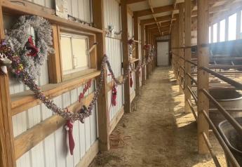 Kansas Equine Rescue Celebrates the Joy with Christmas at the Stables 