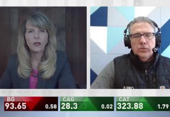 AgDay TV Markets Now:  Tommy Grisafi Says Old Crop Corn Falls Below $4 and is Still Looking for a Bottom 