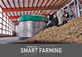 Robotic Technology Helps These Dairies Become Better