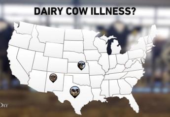 Mystery Illness is Now Affecting Dairy Cows in Texas, New Mexico As Industry Searches for Answers
