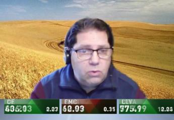 AgDay TV Markets Now: Bryan Doherty Explains Wednesday's Grain Rally, While Funds Sell Cattle