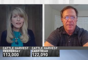 AgDay Markets Now: Shawn Hackett says Winter Wheat Was Due for a Correction