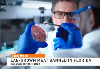 Florida Becomes First State to Ban the Sale of Lab-Grown Meat