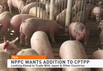 CPTPP: Could it Open Fastest Growing Economic Region to Hog Farmers?