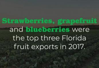 Florida's crops shape up great for some, tough for others