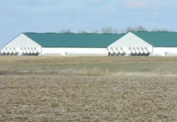 Hog Manure Spill Contained in Northwest Iowa