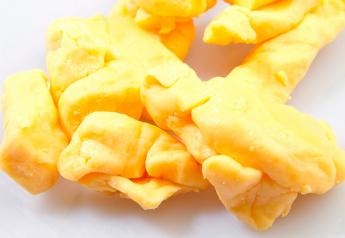 cheese_curds