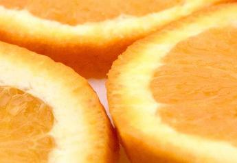 May USDA forecast remains stable for Florida orange production