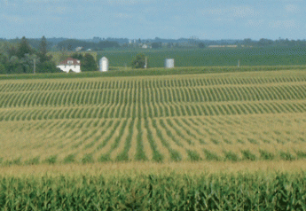 Acreage Report: Corn, Soybean Acres Both Down 1%