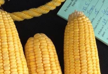 corn sample illinois crop tour
