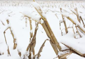 corn-stover-snow-2013