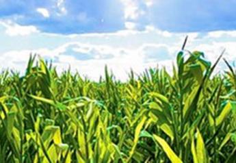 Iowa Cropland Values Surge 19%