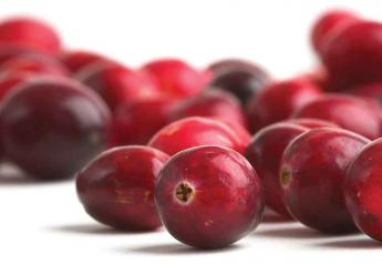 Bigger U.S. cranberry crop expected, with Wisconsin leading the way