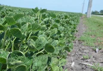 Alleged dicamba drift damaged an estimated 3.1 million acres in 2017.