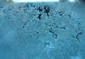 frost-on-window-1-1472036-1600x1200