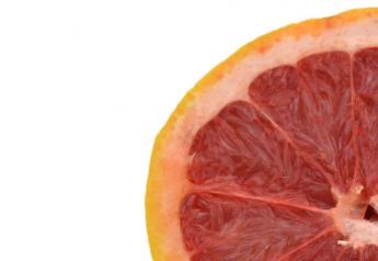 Domestic grapefruit shippers alarmed by suspension of juice content requirement for imports