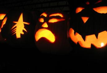 halloween-pumpkins-2-1199288-640x480
