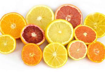 South Africa citrus production, exports, continue strong growth 