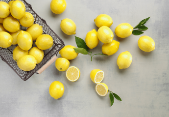 Sunkist sees lemon consumption surge