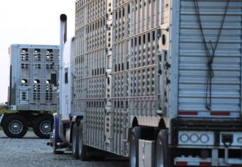 livestock_trucks-trailer_(3)