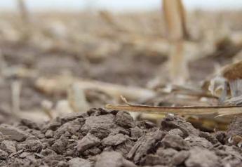 nebraska-soil-cornfield