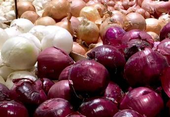 U.S. onion exports gain by double digits in last year